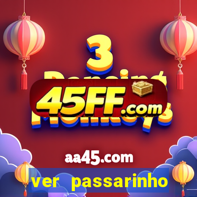 ver passarinho morto significado espiritual